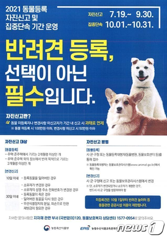 전북 정읍시가 반려인과 비반려인 간 갈등을 예방하고 행복하게 공존하는 도시를 만들기 위해 미등록 반려동물 집중 단속을 실시한다.ⓒ 뉴스1