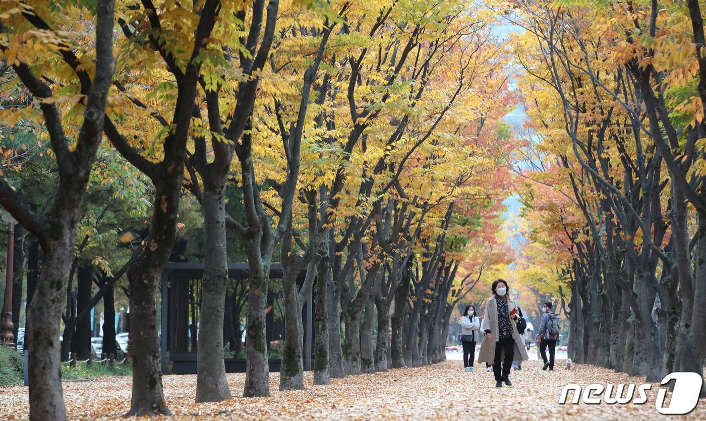 13일 대전·충남은 낮 기온이 20도 내외로 올라 포근할 것으로 예보됐다. 대전 서구 보라매공원에서 시민들이 깊어가는 가을의 정취를 즐기고 있다. /뉴스1 ⓒ News1 김기태 기자