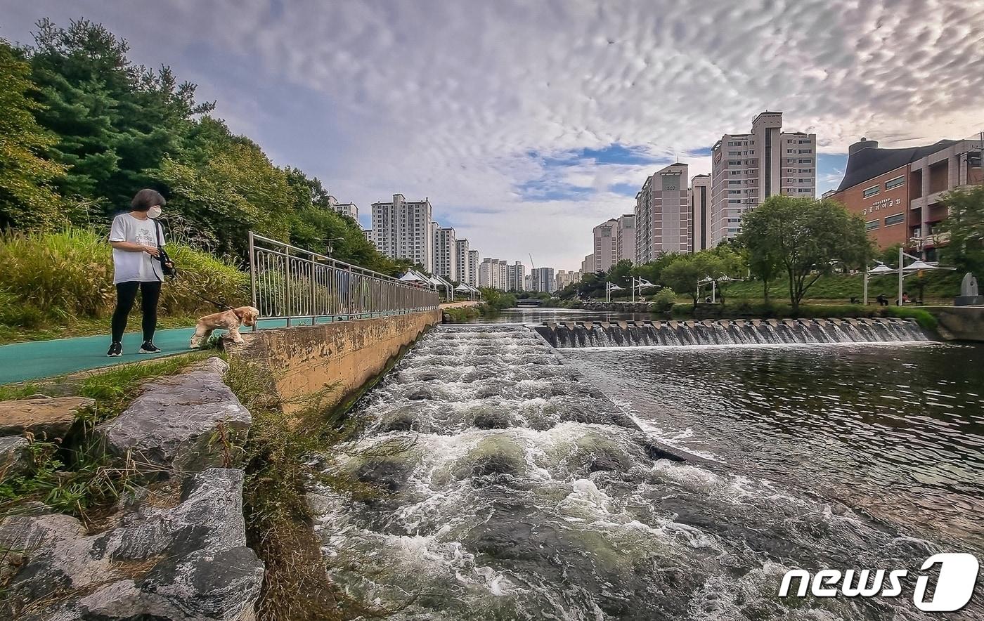 제4회 어도&#40;魚道&#41; 사진 공모전 휴대폰부문 최우수상 수상작인 신성호씨의 &#39;물고기가 있나요&#39;.&#40;한국농어촌공사 제공&#41; /News1