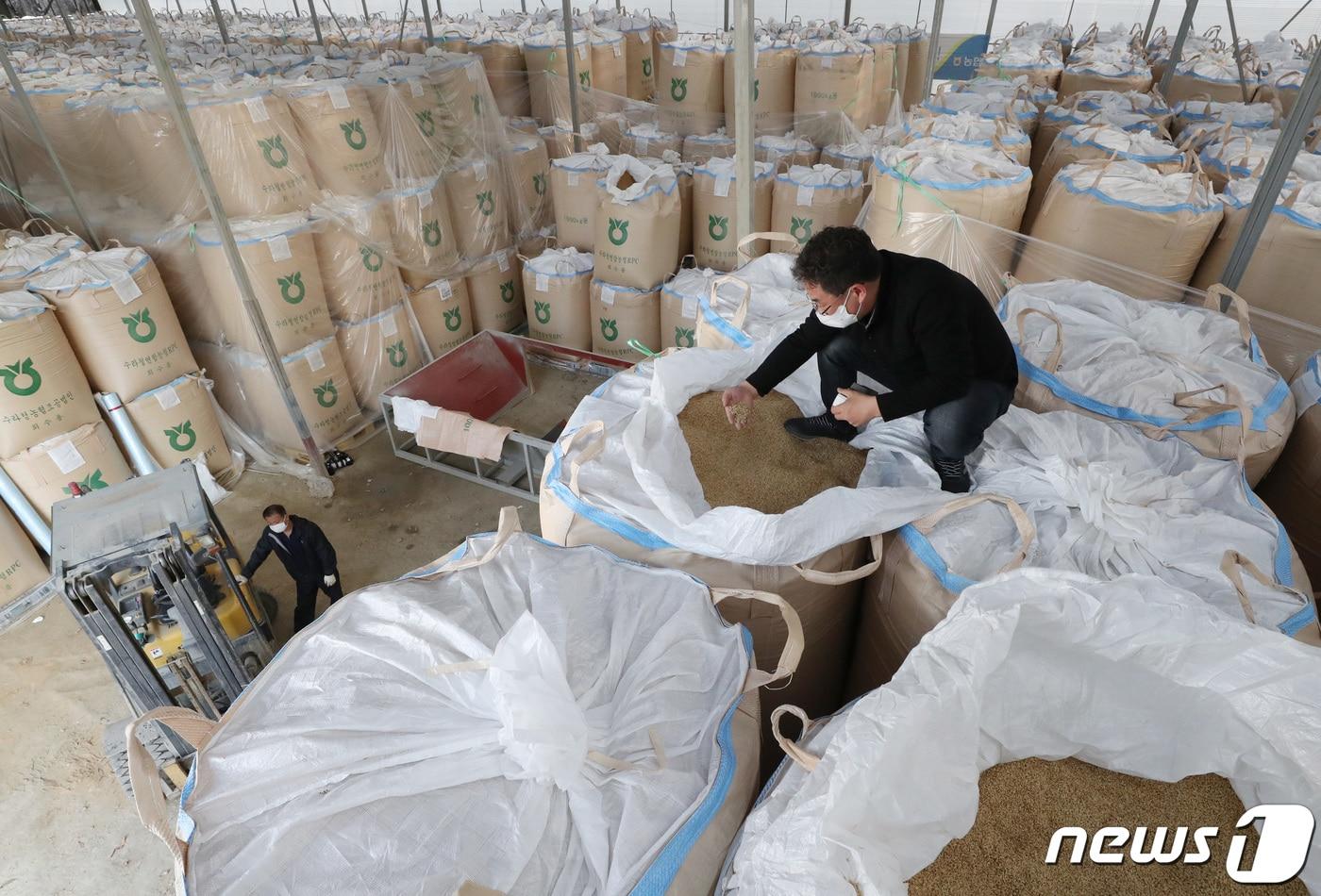 경기도 화성시 비봉면 수라청연합농협미곡처리장&#40;RPC&#41;에서 관계자들이 수매한 벼의 수분함량을 검사하고 있다.  ⓒ News1 김영운 기자