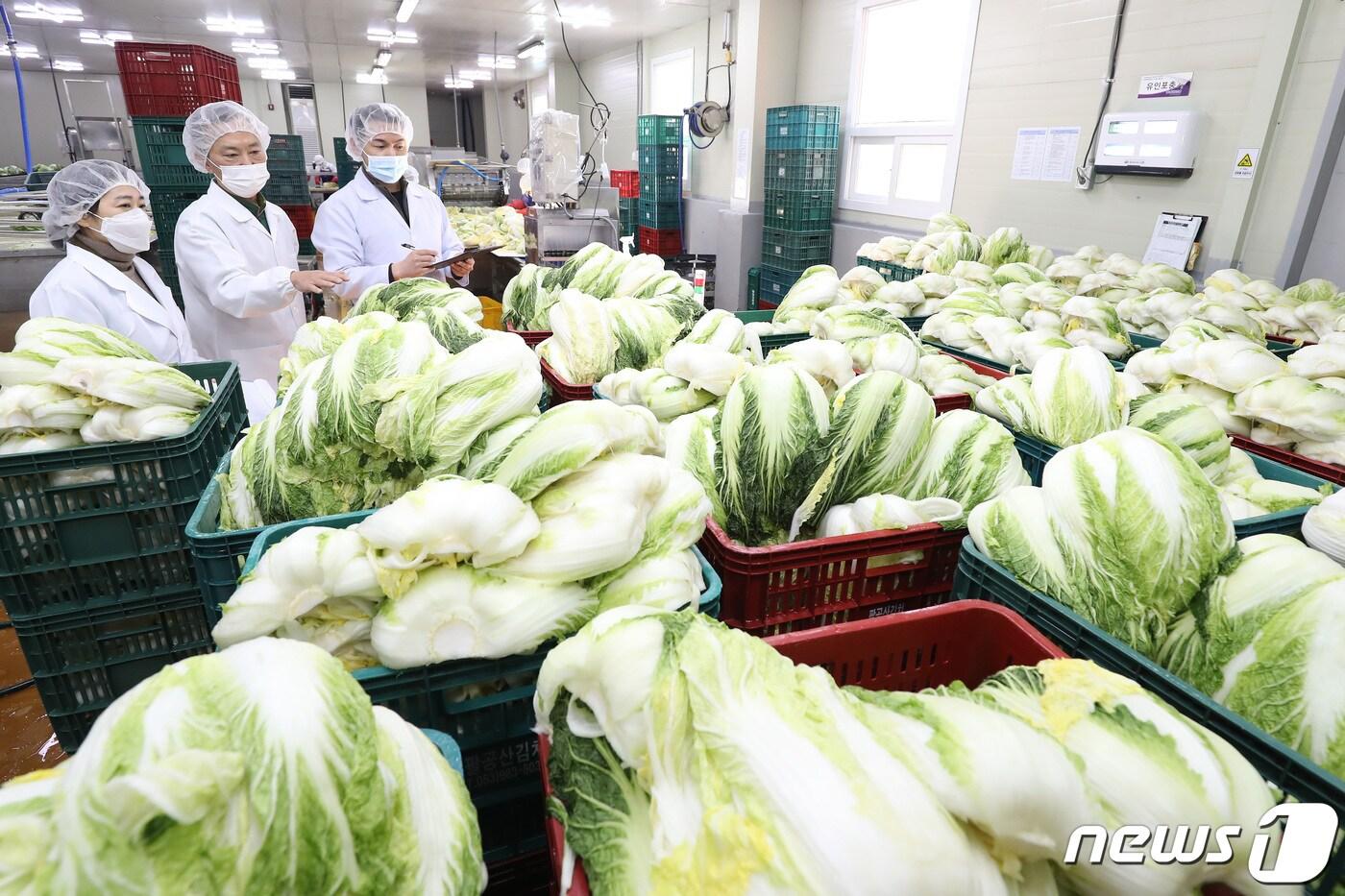 김치공장 자료사진. 사진은 이해를 돕기 위한 것으로, 기사내용과 직접관련 없음. ⓒ News1 