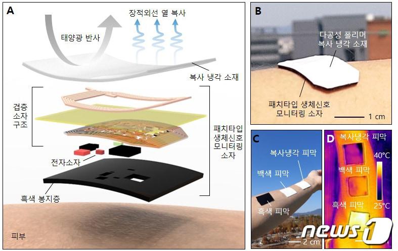 제안된 열적으로 안정한 패치 타입 웨어러블 생체신호 소자&#40;A&#41;의 모식도&#40;B&#41;와 피부 집적 상태&#40;C&#41;, 광학 열 이미지&#40;D&#41;.&#40;지스트 제공&#41;2021.3.15/뉴스1 ⓒ News1