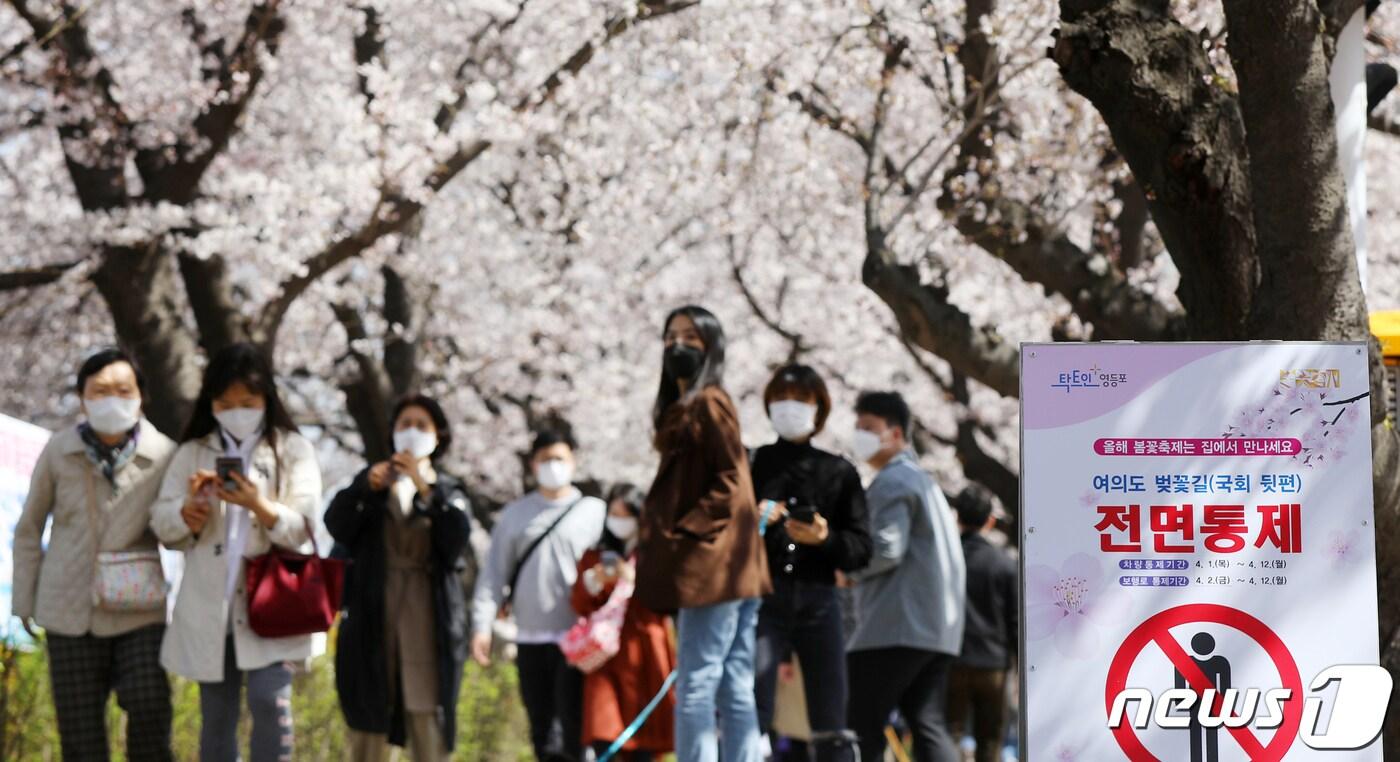 벚꽃길에 설치된 차량 및 보행로 통제를 알리는 안내문 자료사진. /뉴스1 ⓒ News1 