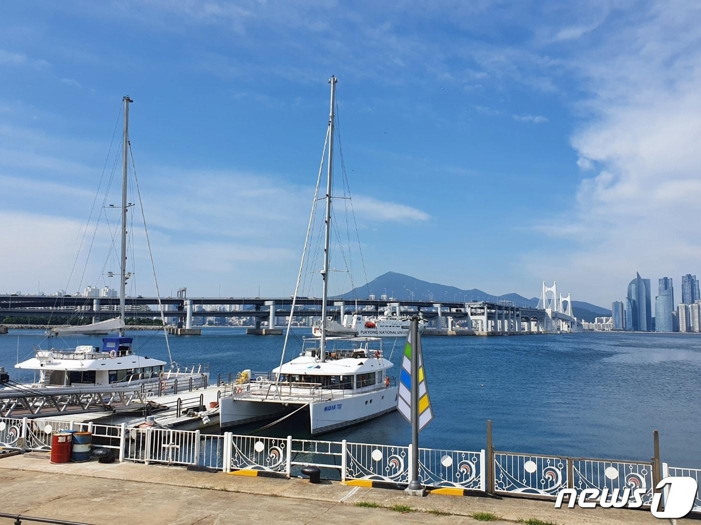 부산 남구 용호만유람선터미널에 요트가 정박해 있다.2021.8.31ⓒ 뉴스1 손연우 기자