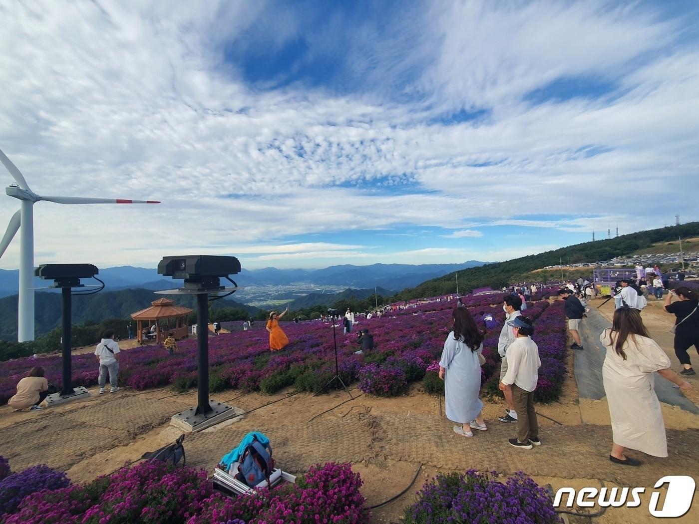 1일 오전 경남 거창군 신원면 감악산 정상을 찾은 나들이객들이 보랏빛 아스타꽃을 배경으로 인증샷을 찍고 있다.2022.10.1/뉴스1 강정태 기자