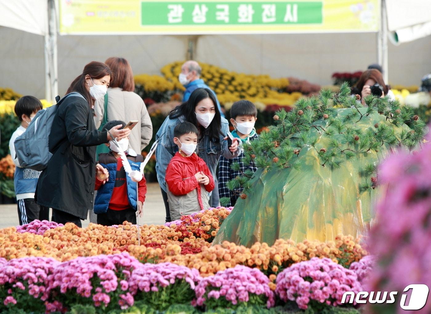 지난해 원북면 옥파 이종일 생가지에서 열린 제9회 태안 국화축제&#40;전시회&#41; 모습 &#40;태안군 제공&#41;