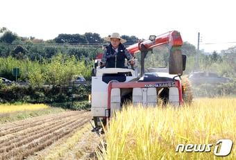 정용래 대전 유성구청장이 18일 교촌동 벼 수확 영농현장을 찾아 직접 콤바인에 탑승해 벼 베기 작업을 하고 있다.&#40;대전 유성구 제공&#41; 