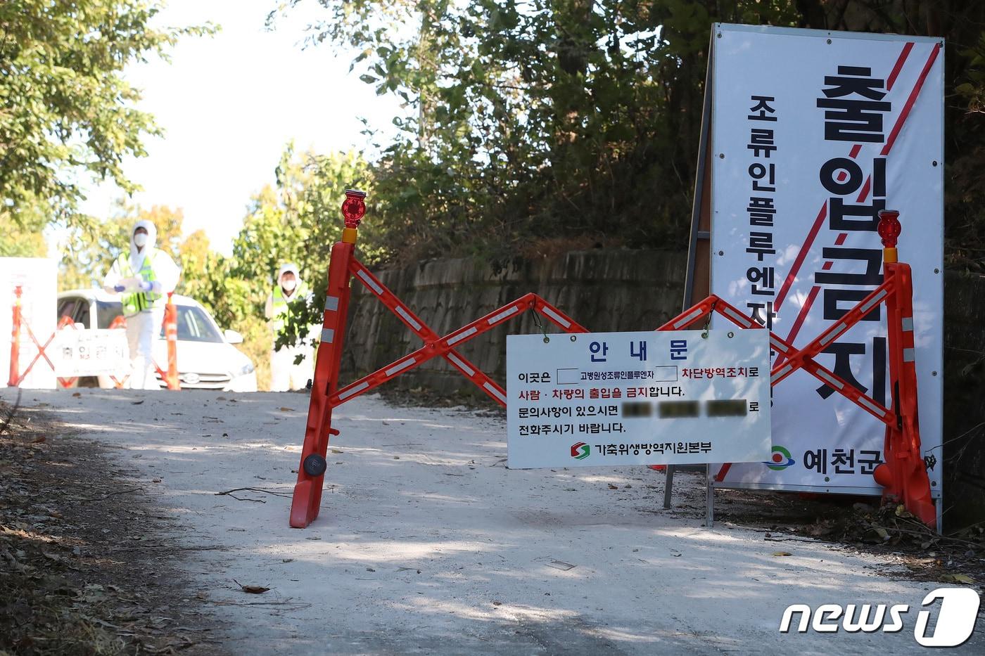 경북 예천군의 한 오리농장에서 발생한 고병원성 조류인플루엔자&#40;AI&#41; 확진과 관련해 가축위생방역지원본부 관계자들이 농장 입구를 통제하고 있다. 2022.10.19/뉴스1 ⓒ News1 공정식 기자