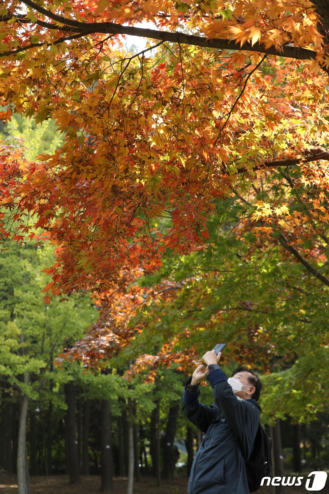 서리가 내리기 시작한다는 절기상 상강&#40;霜降&#41;인 23일 서울 서초구 문화예술공원에서 한 시민이 단풍 사진을 찍고 있다. 기상청은 내일 아침 서울 아침 기온이 6도까지 떨어지며 반짝 추위가 찾아올 것으로 예보했다. 2022.10.23/뉴스1 ⓒ News1 신웅수 기자