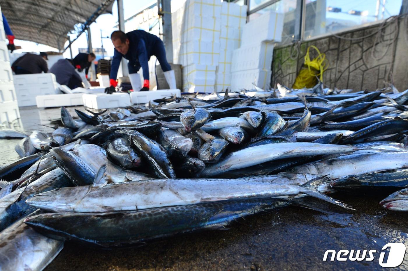 &#40;사진은 기사 내용과 무관함&#41; / 뉴스1 ⓒ News1