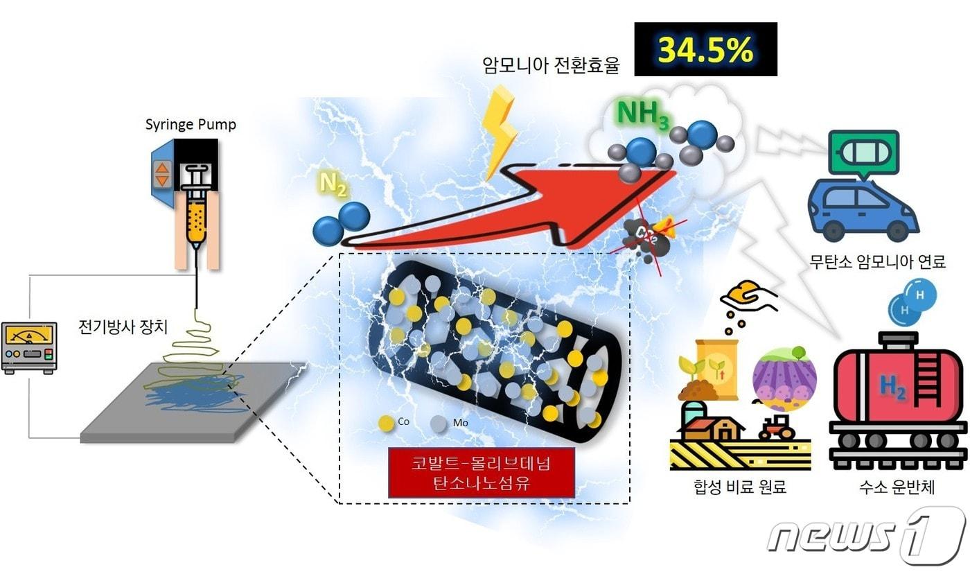 탄소배출없이 &#39;그린 암모니아&#39; 를 얻는 새로운 촉매기술 개발도&#40;지스트 제공&#41;/뉴스1