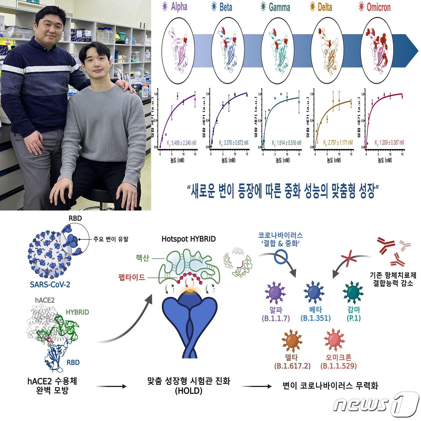 포스텍&#40;포항공대 김무환&#41; 신소재공학과 오승수 교수팀이 신종 코로나바이러스 감염증&#40;코로나19&#41;변이 발생에 더 우수한 성능을 갖춘 중화제 개발 플롯폼 기술을 세계 최초로 개발했다.&#40;포스텍제공&#41;2022.10.27/뉴스1 