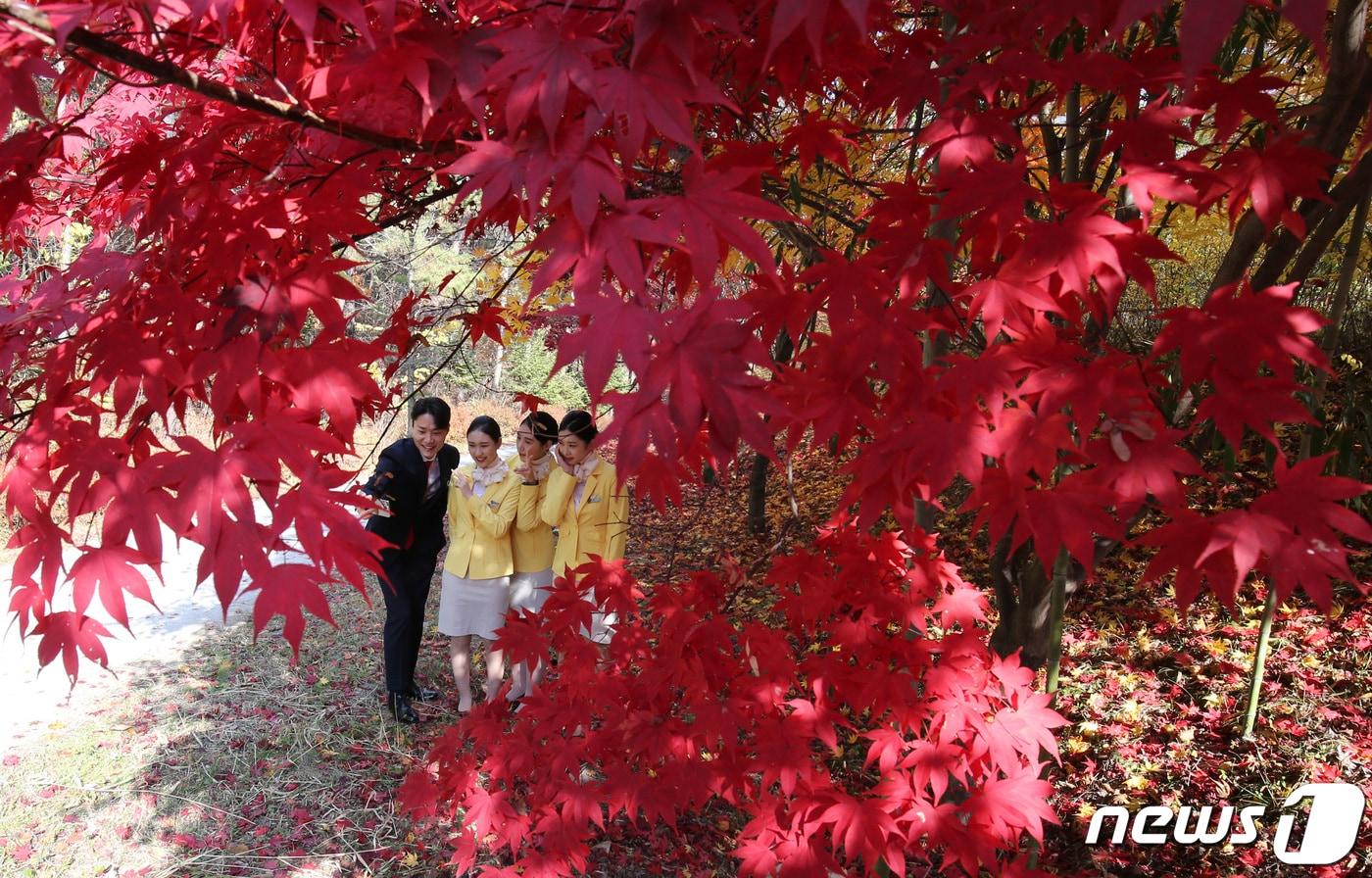 12일 대전·충남은 낮 기온이 20도 내외로 포근한 가운데 일교차가 10~15도 내외로 클 것으로 예보됐다. 대전 배재대학교 항공서비스학과 학생들이 단풍잎 아래서 캠퍼스의 늦가을을 즐기고 있다. /뉴스1 ⓒ News1 김기태 기자