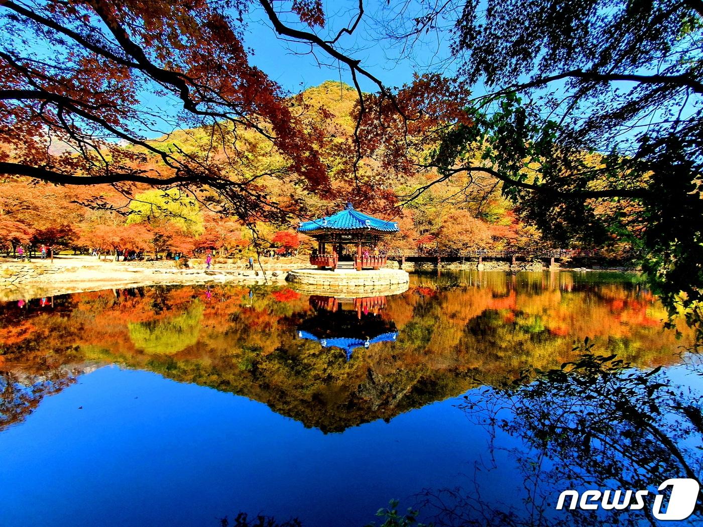 내장산 우화정. 정자에 날개가 돋아 날아갈 것 같다는 우화정&#40;羽化亭&#41;. 거울 같은 연못에 비친 파란 지붕과 파란 하늘, 그리고 &#39;단풍 물감&#39;으로 그린 듯한 가을 산.