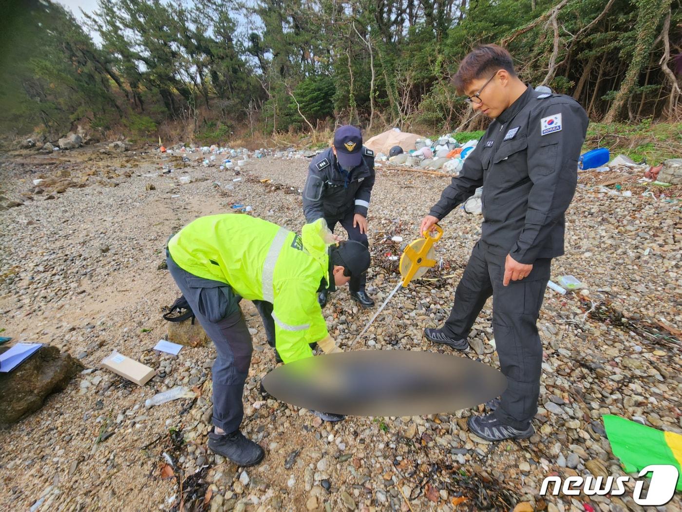 20일 낮 12시쯤 전남 고흥군 연홍도 해안가에서 해양보호생물 상괭이 사체 1구가 발견돼 해경이 수습 작업을 벌이고 있다.&#40;해양환경인명구조단 여수구조대 제공&#41;2022.11.20/뉴스1 ⓒ News1