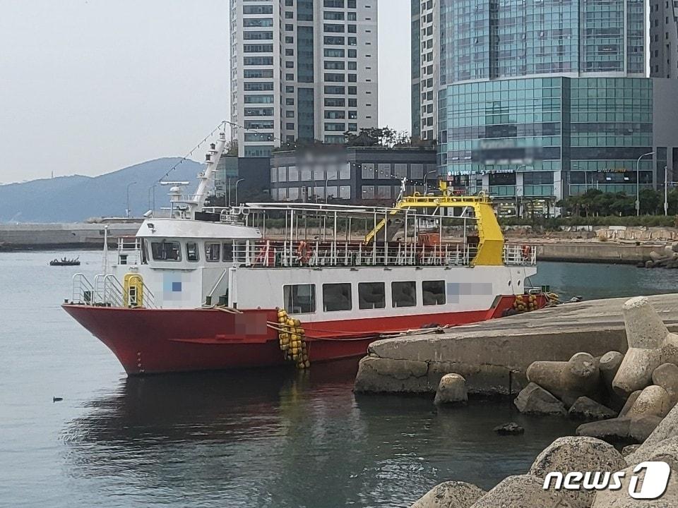 22일  해운대구 운촌항 일대에 미포~오륙도∼광안대교에 투입되는 유람선이 불법 정박돼 있다. 2022.11.22.손연우 기자