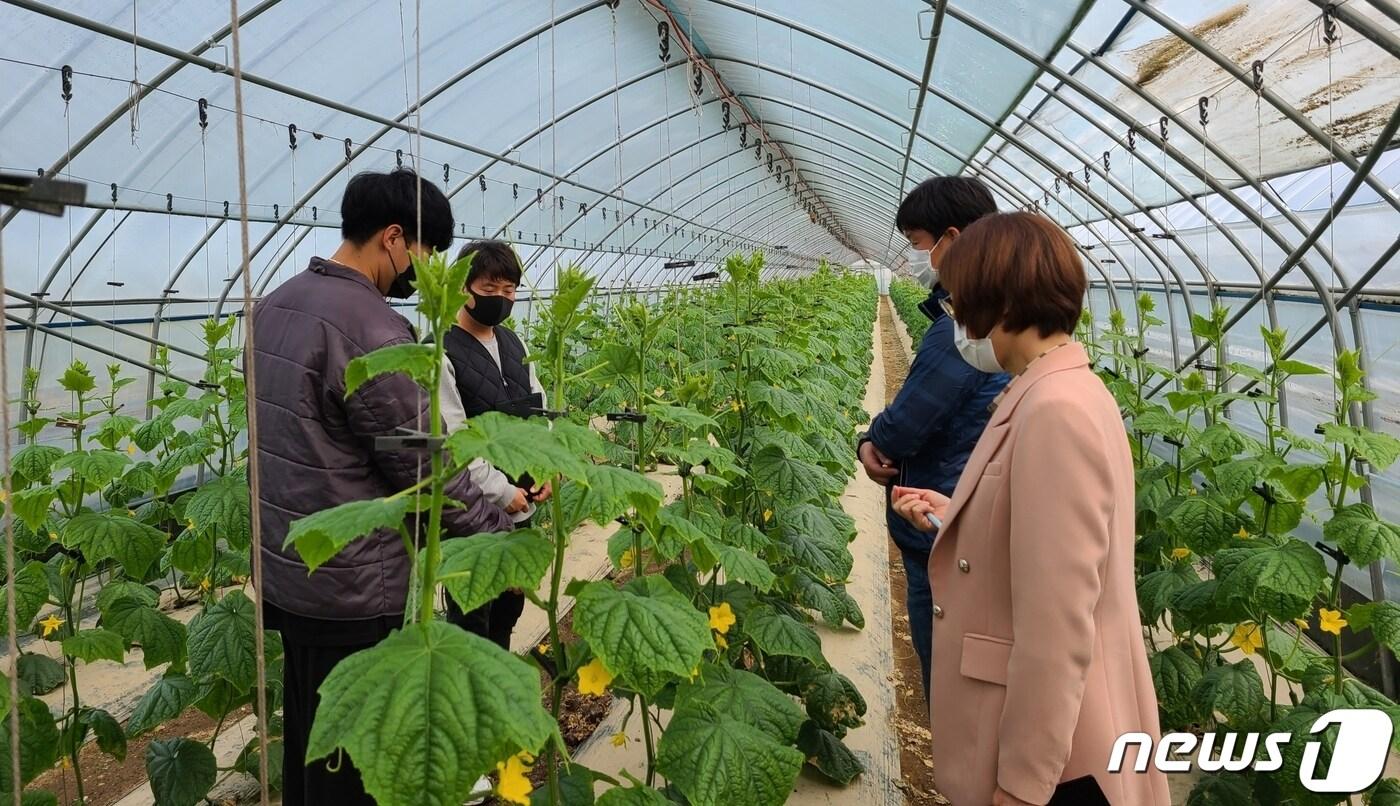 충북 진천군이 농림축산식품부가 주관하는 &#39;청년 농업인 경영 실습 임대농장&#39; 조성사업 공모에 선정됐다. 사진은 군의 청년 농업인 현장 지원 모습.&#40;진천군 제공&#41;/ 뉴스1