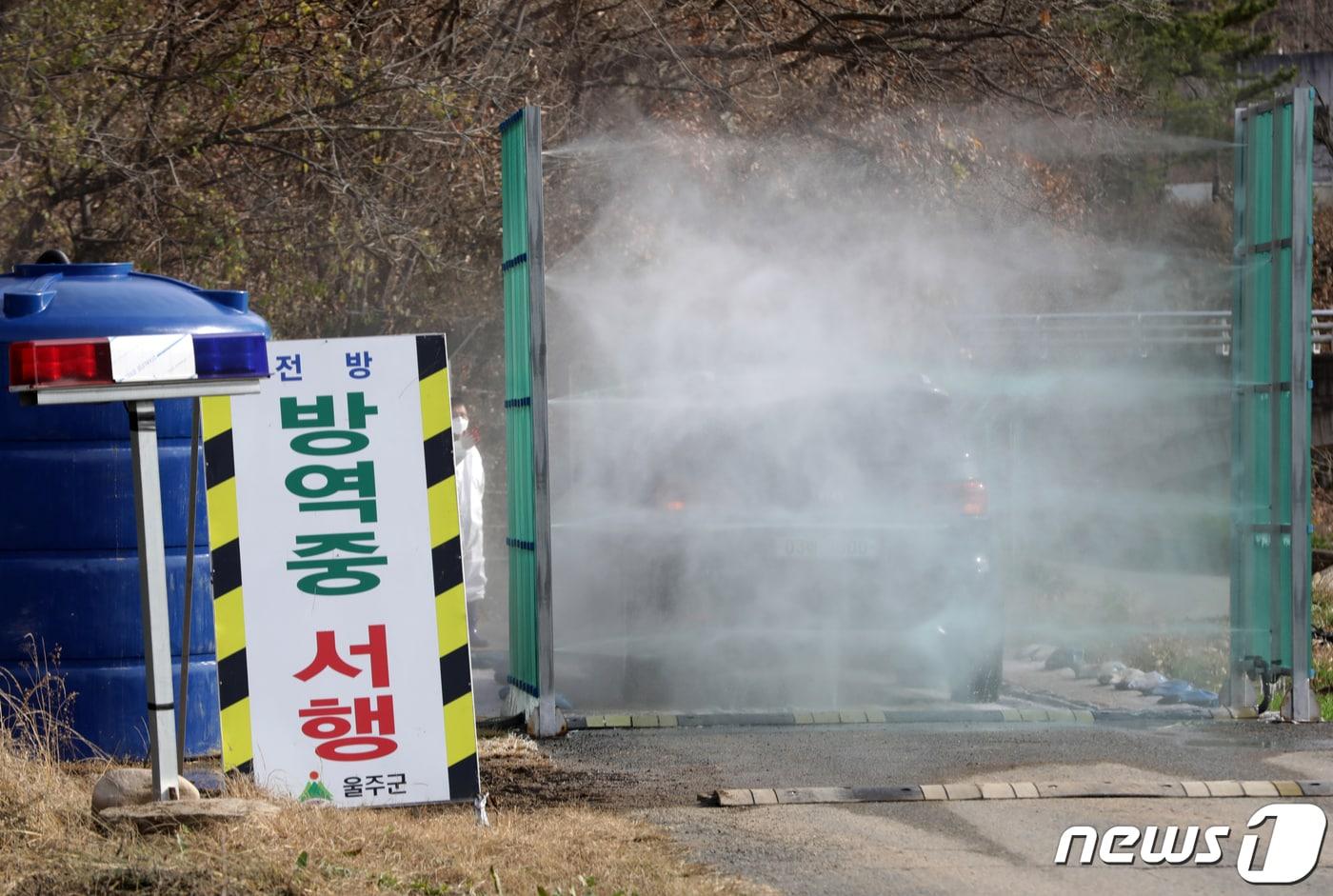 울산 울주군 한 산란계 농장에서 발생한 조류인플루엔자&#40;AI&#41;가 고병원성으로 확인된 30일 농장 인근 도로에서 차량 소독이 진행되고 있다. 2022.11.30/뉴스1 ⓒ News1 윤일지 기자