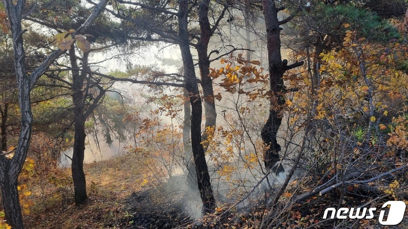 4일 오전 7시20분 경북 군위군 우보면의 한 야산에서 산불이 발생해 산림당국이 1시간여 만에 진화했다. &#40;산림청 제공&#41;