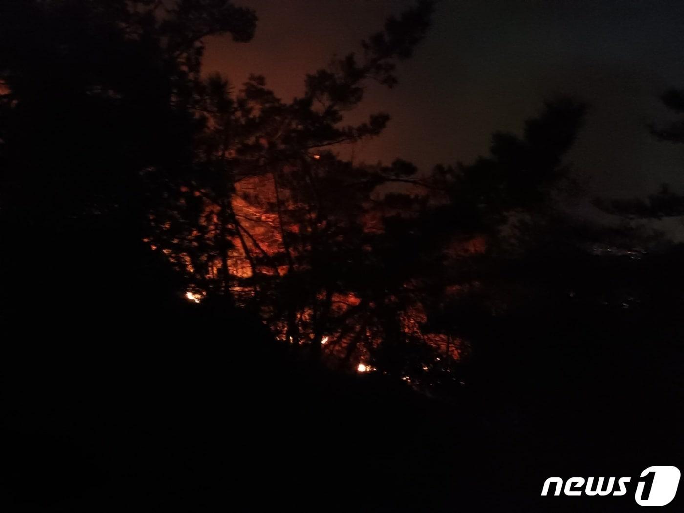 관악산 산불.&#40;경기도소방재난본부 제공&#41;