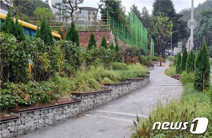 부산 금정구 삼육초 통학길에 조성된 &#39;자녀안심 그린숲&#39;.&#40;부산시 제공&#41;