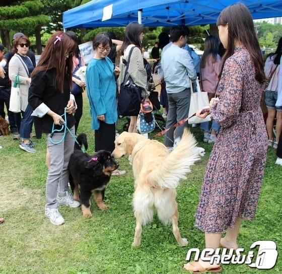 12일 충북 충주시가 관광사업의 적극적 추진을 위해 &#39;관광청년추진단&#39;을 운영한다고 밝혔다. 사진은 MZ세대 공무원의 아이디어가 반영된 반려동물 행사.&#40;충주시 제공&#41;2022.12.12/뉴스1