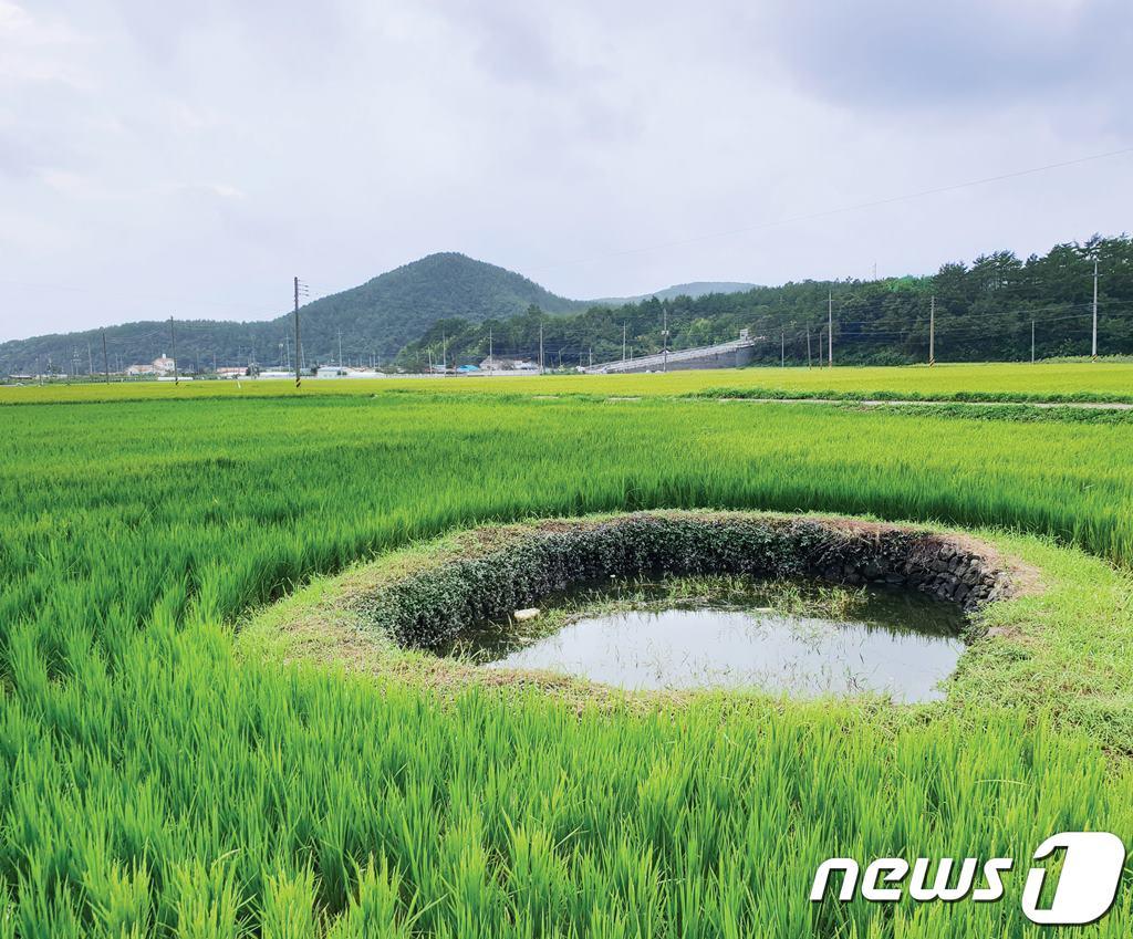 경남 고성군은 국가중요농업유산 &#39;둠벙&#39;이 문화체육관광부 ‘2023년 생태 녹색관광 활성화 사업 공모’에 선정됐다고 12일 밝혔다.&#40;고성군 제공&#41;