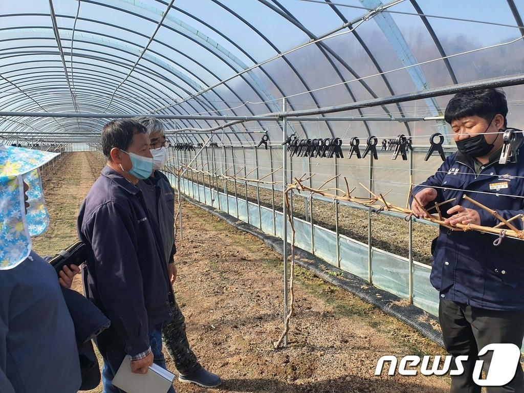 영동군농업기술센터 영농지도 모습. &#40;영동군 제공&#41; 