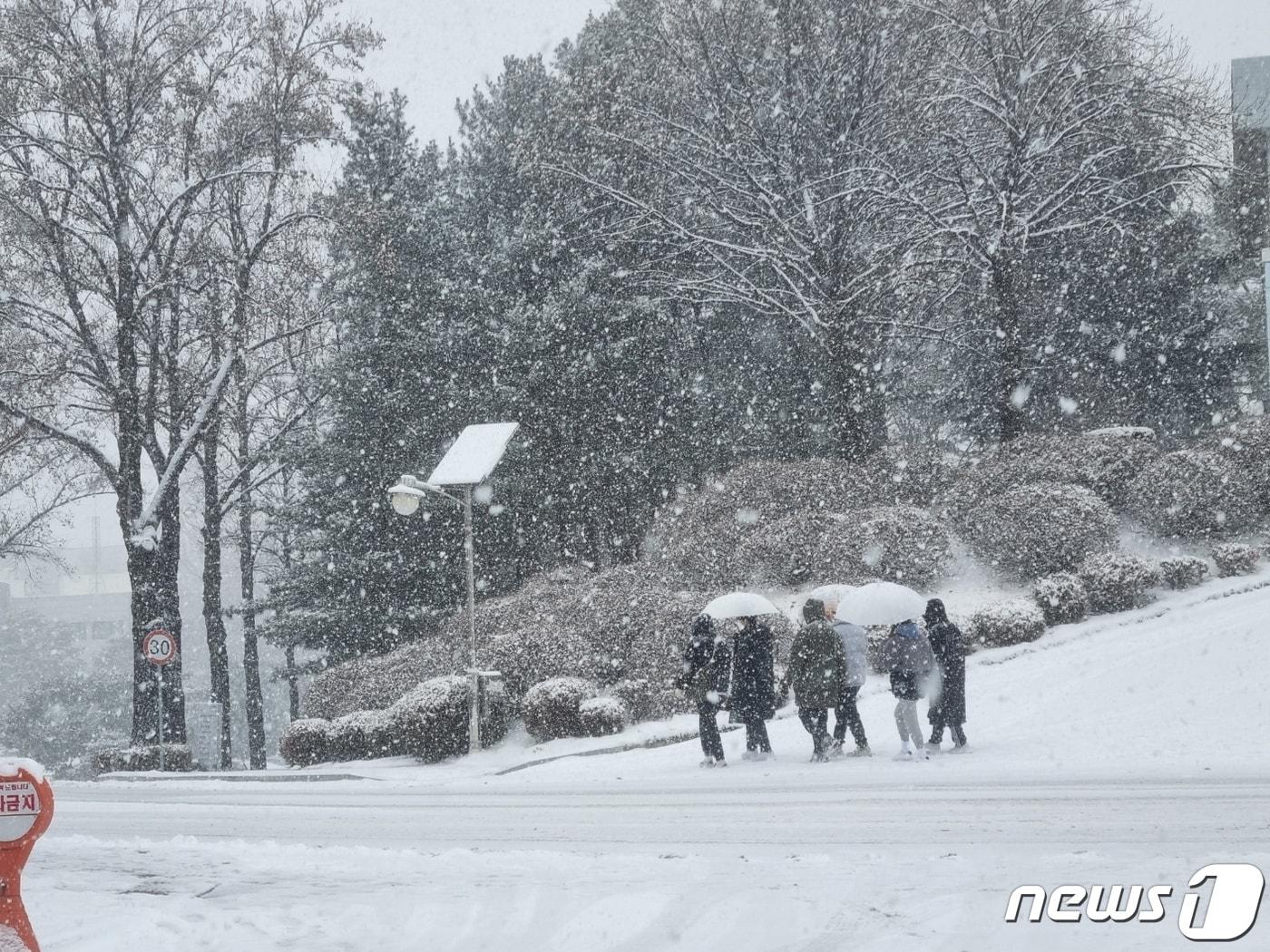 강원 영서·산지에 대설주의보가 내려진 15일 춘천 강원대학교 캠퍼스에 눈이 내리고 있다. 2022.12.15/뉴스1 윤왕근 기자