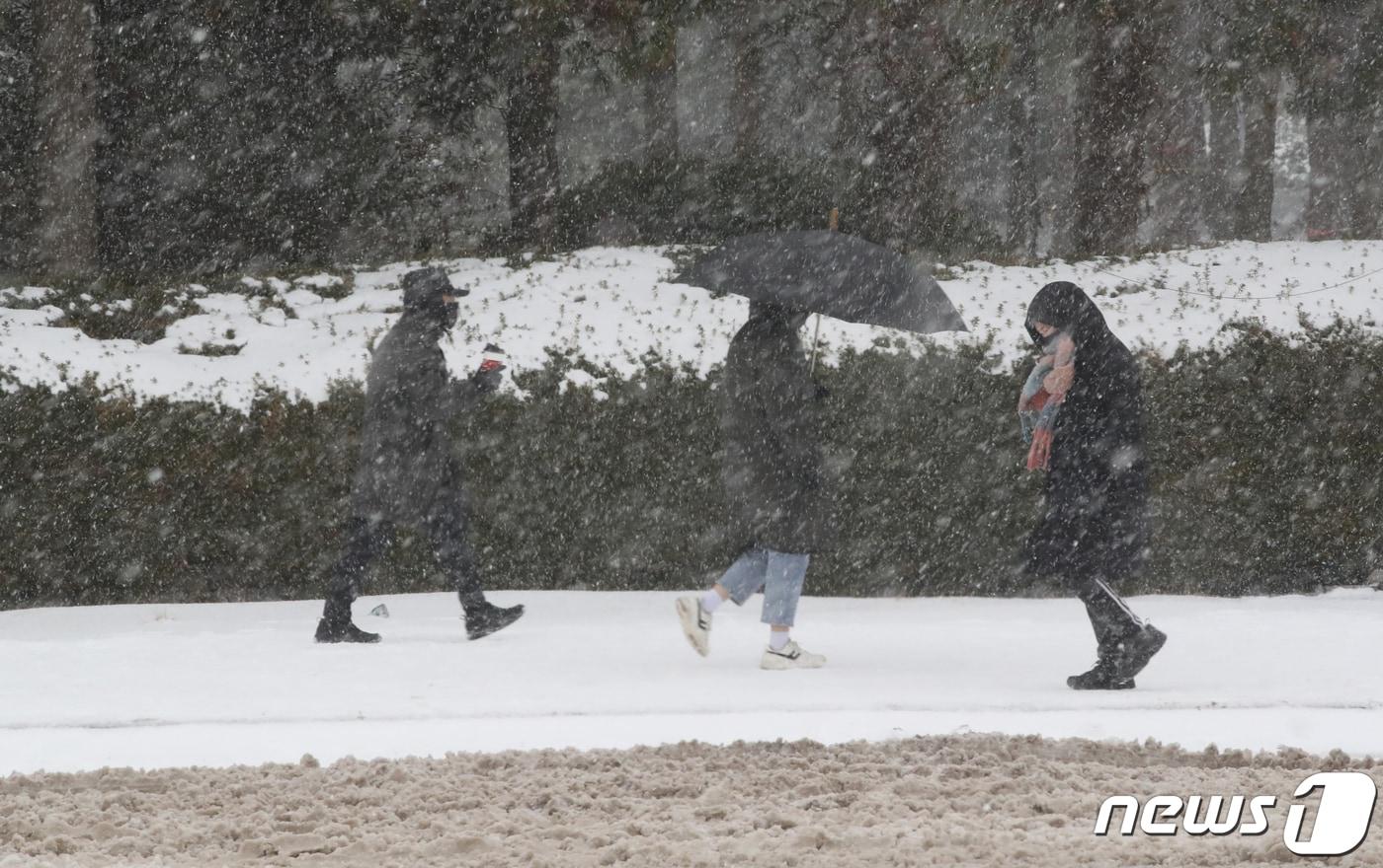 제주지역에 이틀째 대설특보가 발효 중인 23일 오전 제주시 제주대학교 교정에 눈보라가 치고 있다. 2022.12.23/뉴스1 ⓒ News1 오현지 기자