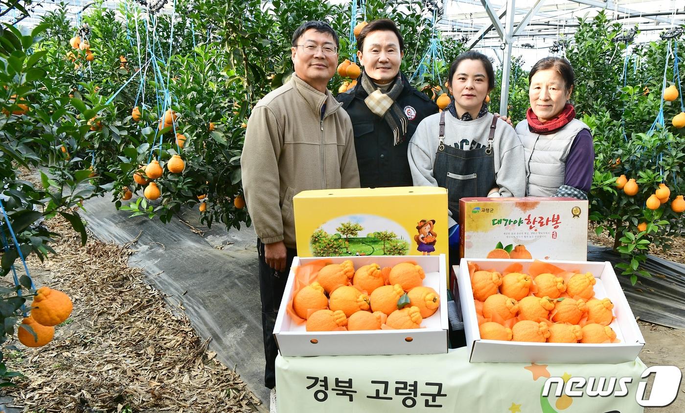 이남철 고령군수가 30일 한라봉을 첫 출하한 이승씨 농가를 찾아 격려하고 가족들과 함께 기념사진을 찍고 있다. 고령군은 아열대 소득작목 육성을 위해 13억원을 들여 한라봉 재배농사를 지원·육성했다.&#40;고령군 제공&#41; /뉴스1