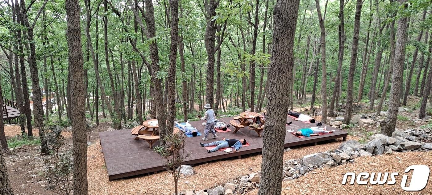 해남군 흑석산 자연휴양림 치유의숲/뉴스1