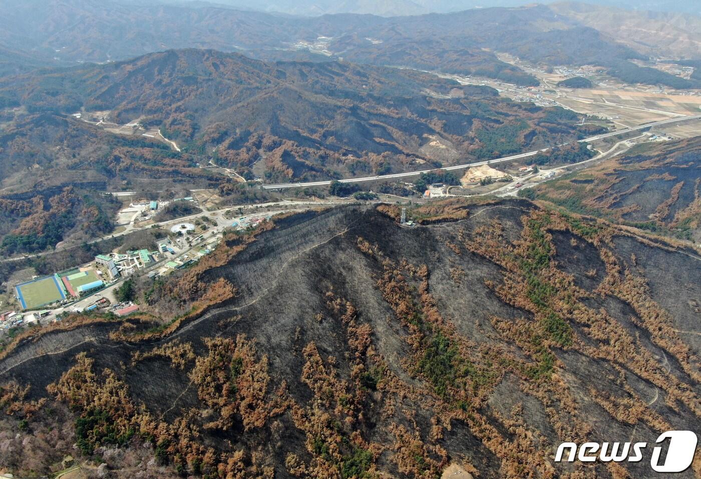 지난 2022년 3월 발생한 대형산불로 잿더미가 된 동해안 일대 산림 &lt;자료사진&gt; &#40;뉴스1 DB&#41;