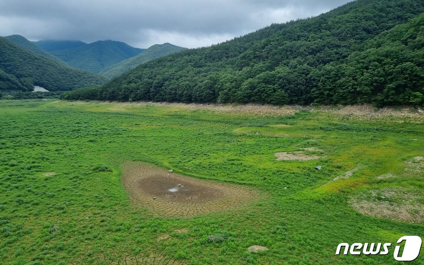 지난 2022년 계속된 가뭄의 영향으로 경북 영천댐 곳곳에서 바닥이 들어나고 있다. ⓒ News1 최창호 기자