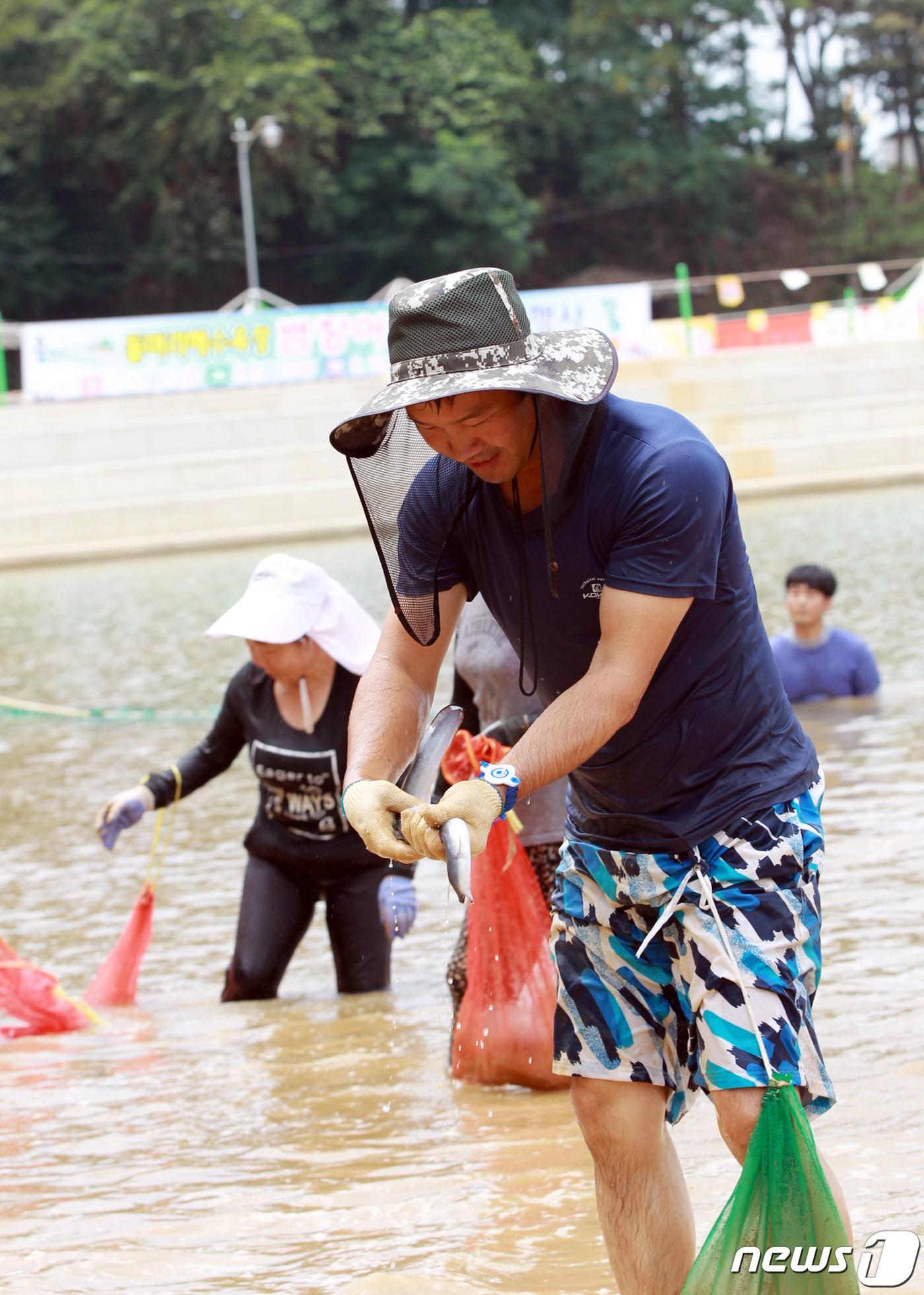 함평 돌머리해수욕장 뱀장어 잡기 체험. ⓒ News1 박영래 기자