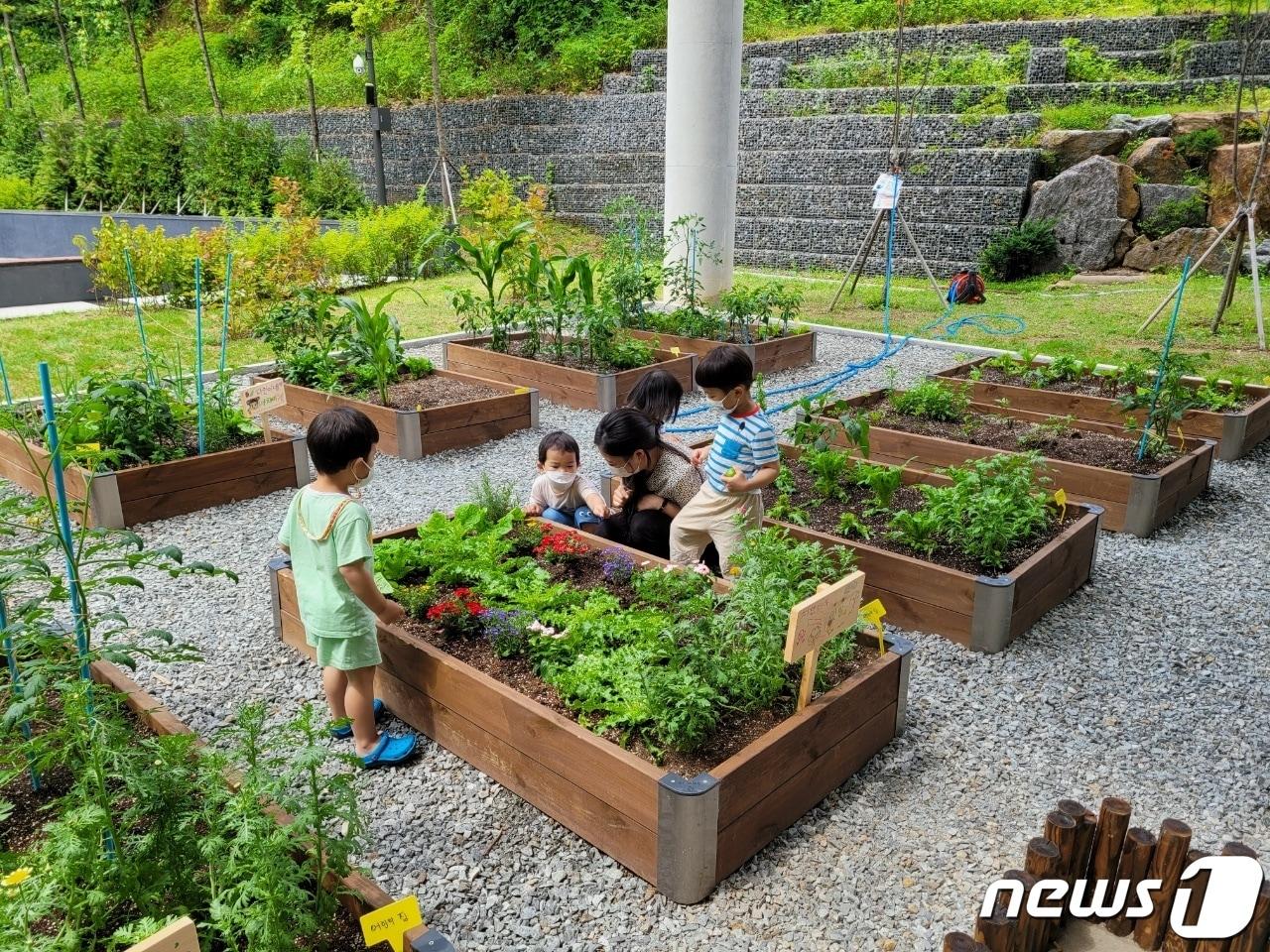 서울 은평구가 공공시설에 조성한 텃밭&#40;은평구 제공&#41; ⓒ News1