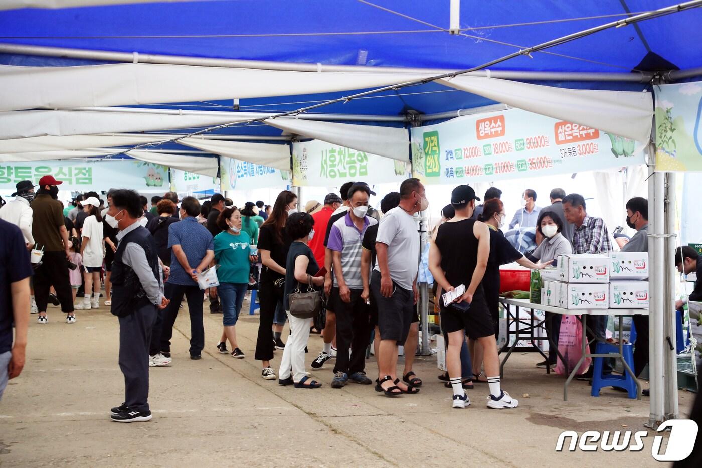 지난 26일부터 31일까지 홍천강둔치주차장에서 열린 홍천찰옥수수축제&#40;홍천군 제공&#41;ⓒ 뉴스1