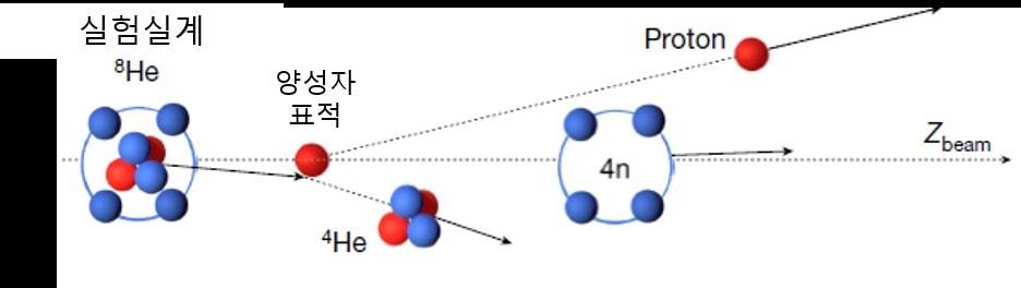 헬륨-8 빔에서 4개의 중성자가 생성되는 과정&#40;IBS 제공&#41;ⓒ 뉴스1