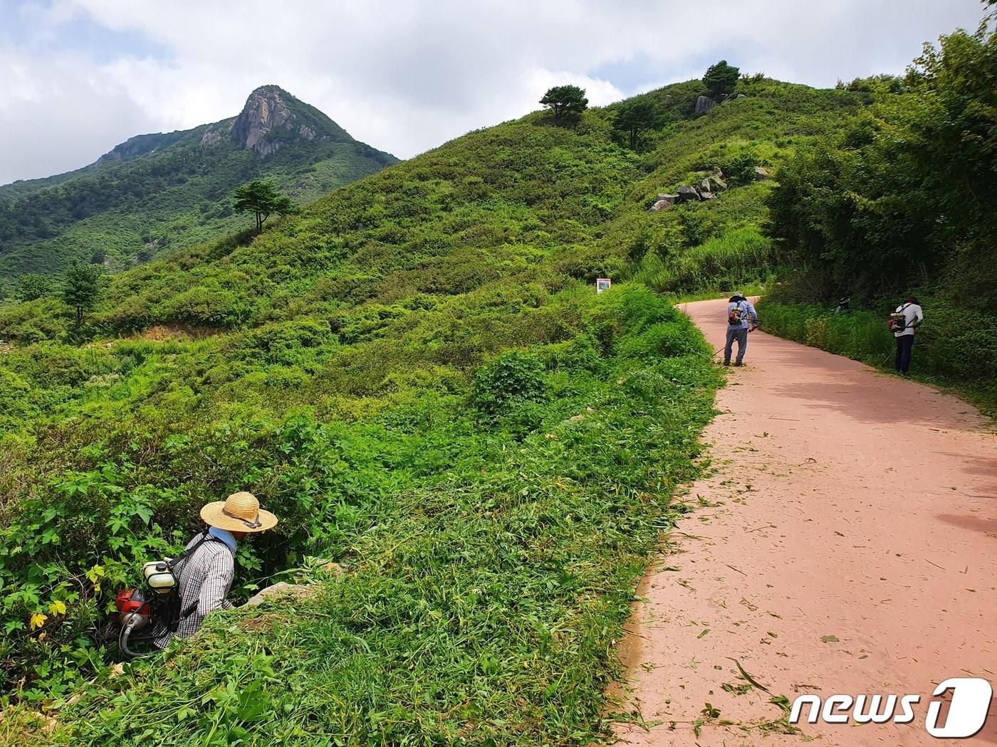 산청군은 황매산 철쭉 군락지 등 등산로 정비사업을 추진한다.&#40;산청군 제공&#41;ⓒ 뉴스1