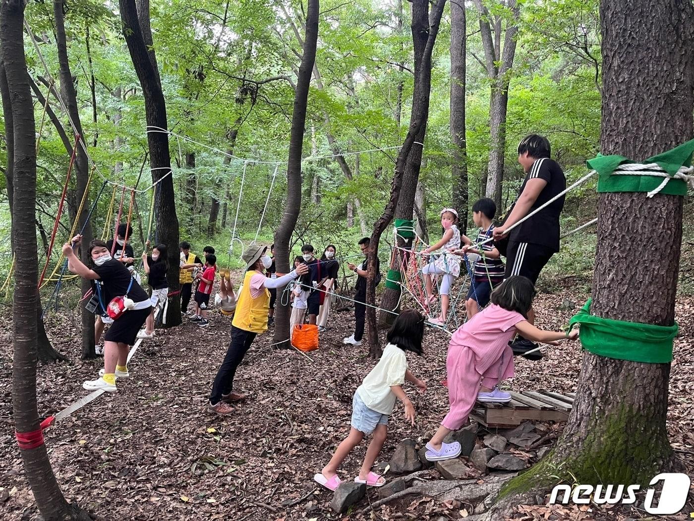 어린이들이 사회적경제 배움터에서 숲체험 활동을 하고 있다.&#40;청양군 제공&#41;     ⓒ 뉴스1