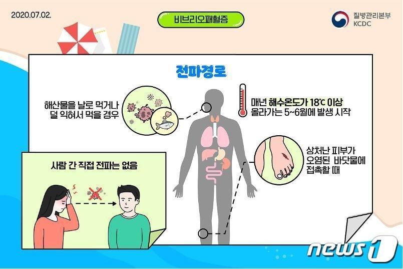 비브리오패혈증 감염 감염경로도&#40;질병관리본부&#41; /뉴스1