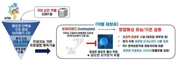 약물 가상 스크리닝 기술을 이용한 로미타피드 항암효능 개발. 엠토르 억제성 항암제 개발 과정을 보여주는 연구개발 모식도. &#40;KAIST 제공&#41; 뉴스1ⓒNews1