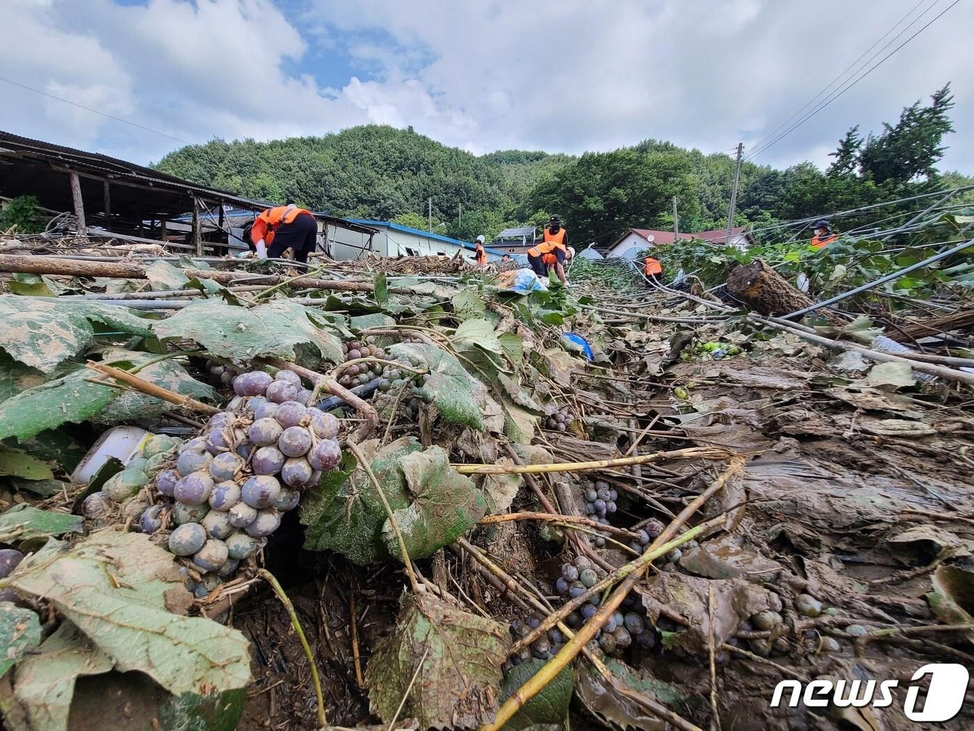 소방청 소속 소방공무원들이 17일 오전 충남 부여군 은산면 홍산리를 찾아 수해복구 지원활동을 하고 있다. &#40;소방청 제공&#41; 2022.8.17/뉴스1