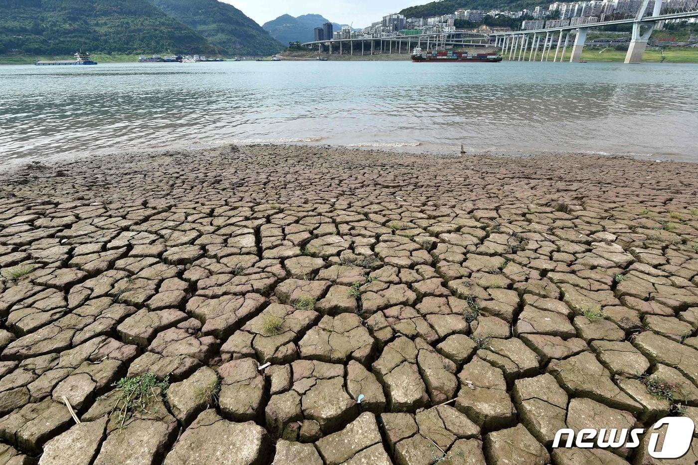 16일 &#40;현지시간&#41; 중국 충칭의 양쯔강이 극심한 가뭄으로 갈라진 바닥을 드러내고 있다. ⓒ AFP=뉴스1 ⓒ News1 우동명 기자