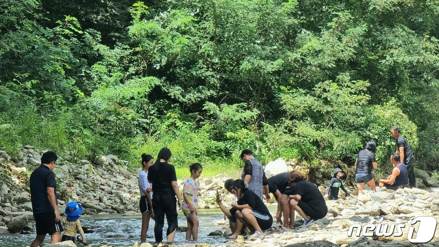 21일 오후 폭염주의보가 내려진 전북 완주군 소양면의 한 계곡에서 피서객들이 물놀이를 즐기고 있다.2022.8.21/뉴스1