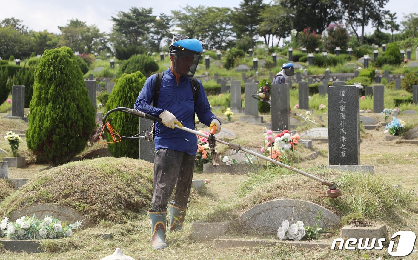 벌초 자료사진.&#40;사진은 기사 내용과 무관함&#41; / 뉴스1 ⓒ News1 윤일지 기자