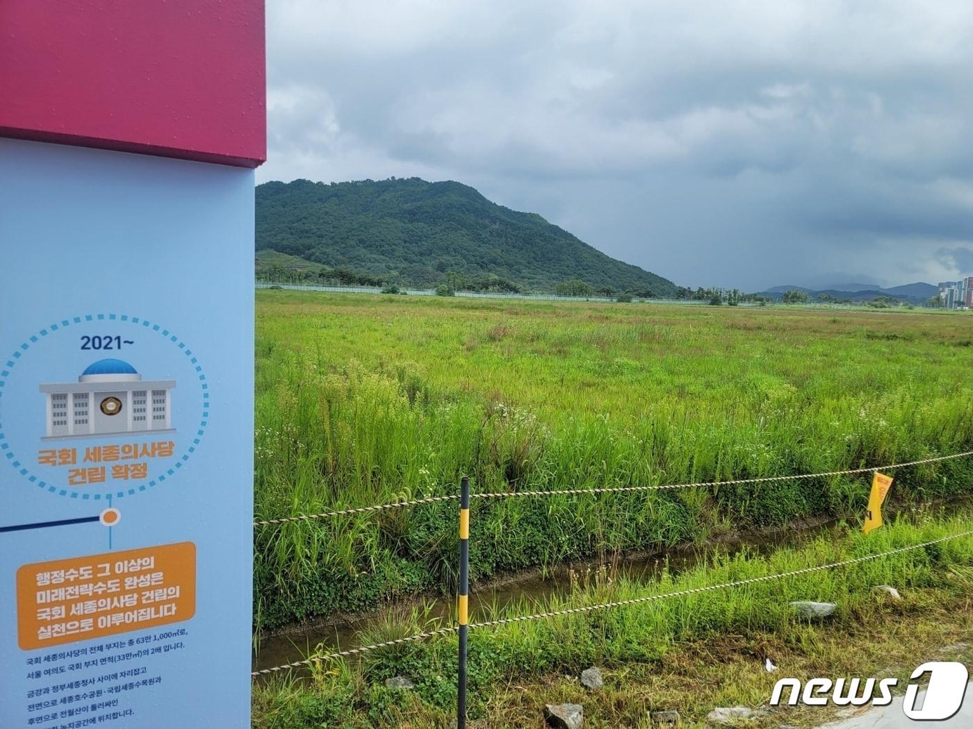 국회 세종의사당 부지. ⓒ News1 장동열 기자