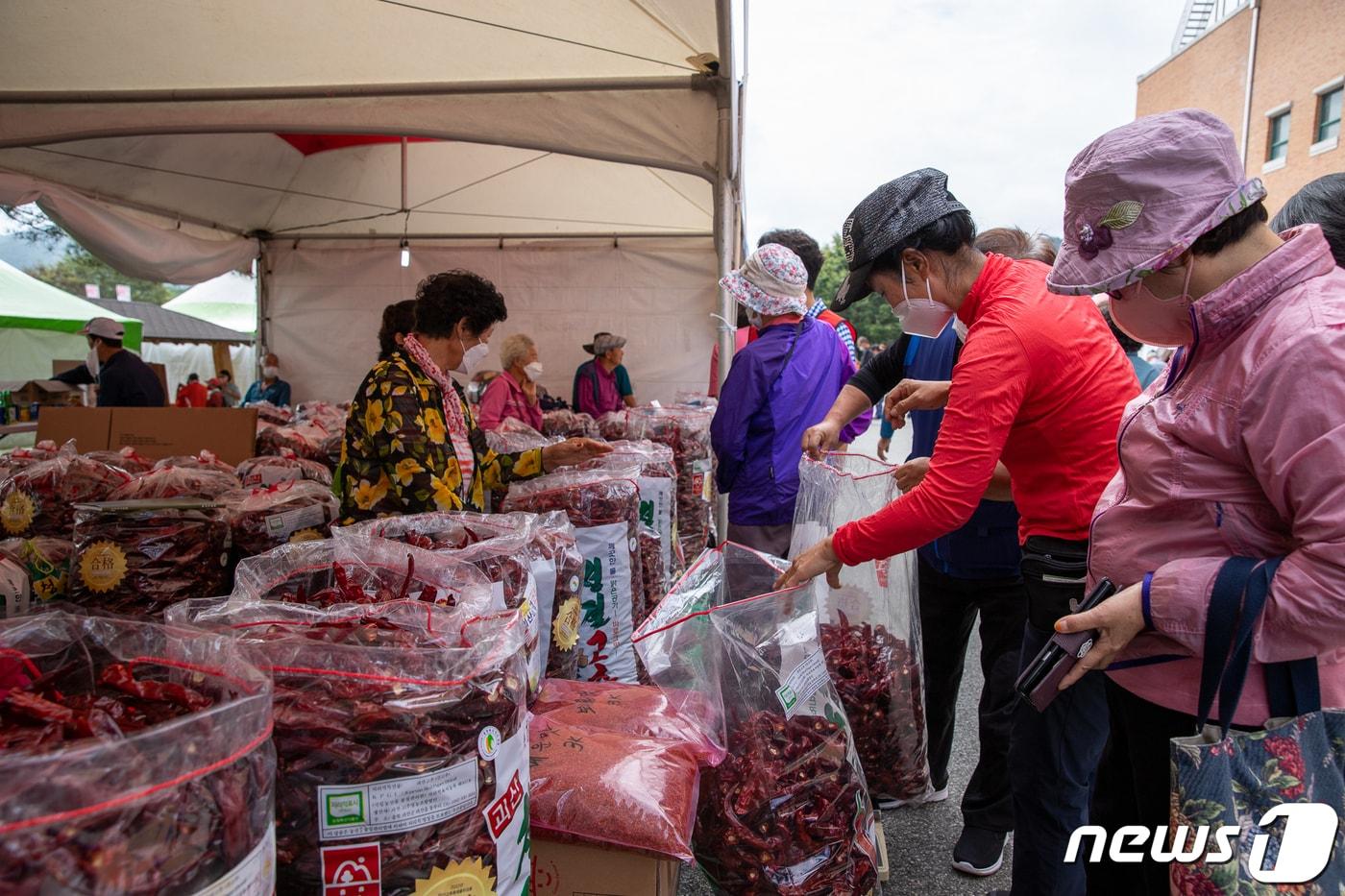 충북 괴산군의 &#39;2022괴산고축제&#39;가 1일 개막했다. 사진은 축제 고추직판장 모습.&#40;괴산군 제공&#41;/뉴스1