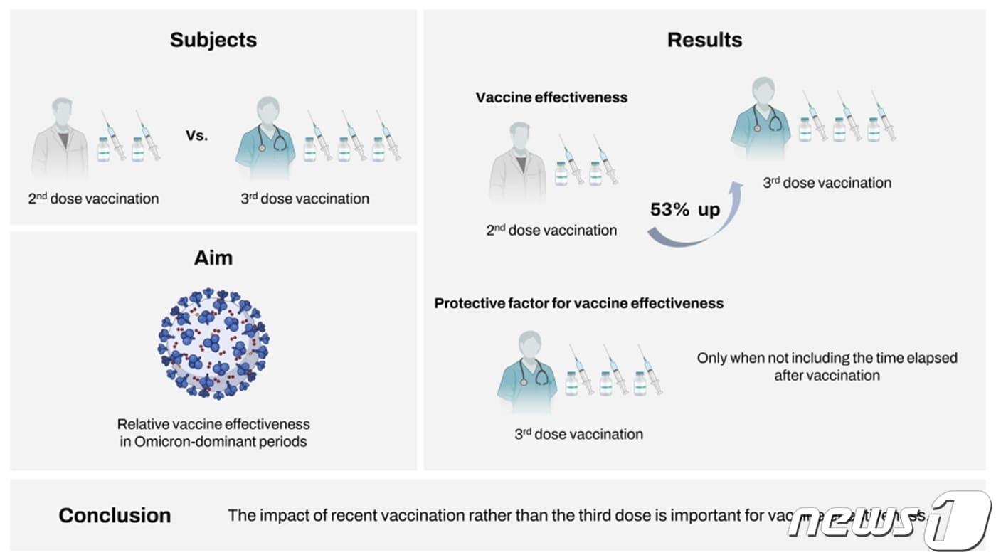 코로나19 백신 3차 접종을 하면 2차 접종만 한 경우보다 감염 예방효과가 53% 높다는 연구결과가 나왔다. 연구 모식도 &#40;송준영 고대구로병원 교수팀 제공&#41;