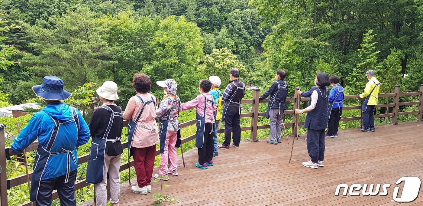 충북 영동군 치매안심센터가 주관하는 산림치유 프로그램  장면. &#40;영동군 제공&#41;